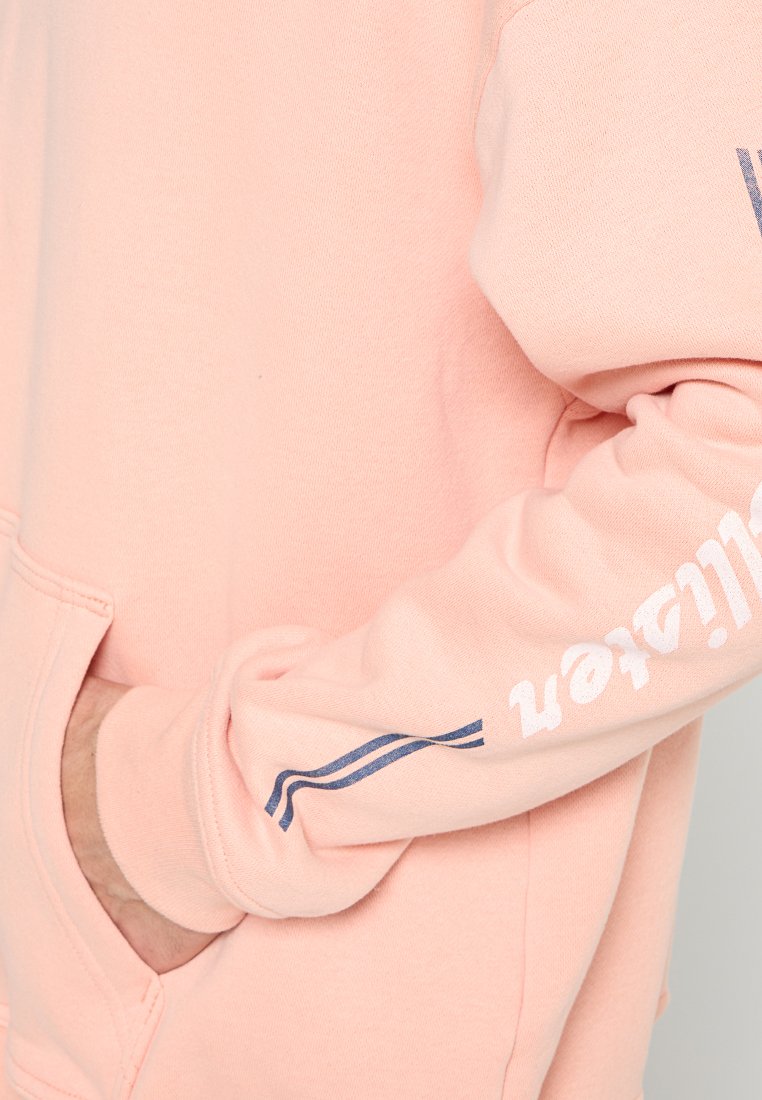 Hollister Co. WEBEX BAGGY