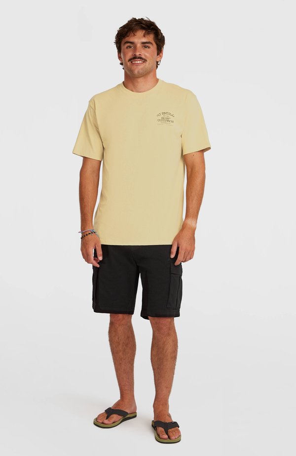 O'Neill CHEST PRINT - TEES SHORTSLEEVE