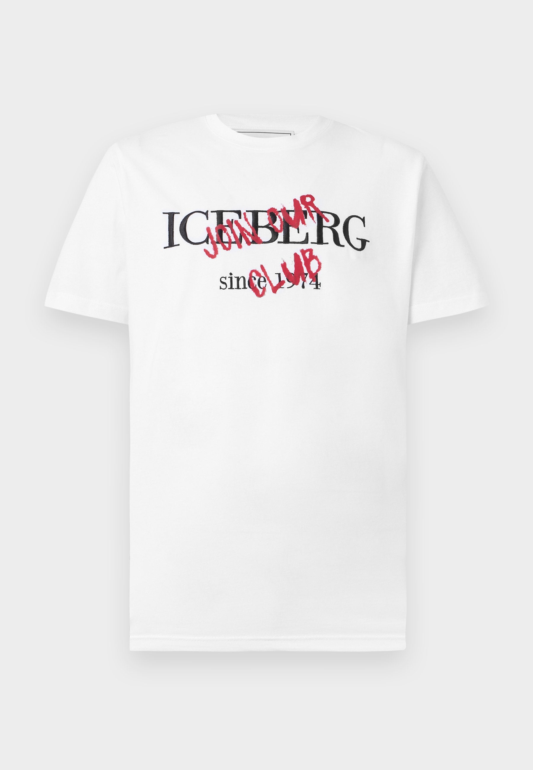 Iceberg