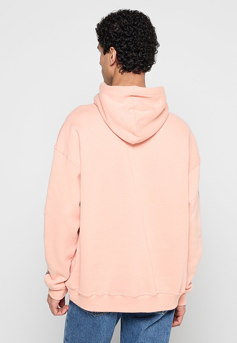 Hollister Co. WEBEX BAGGY
