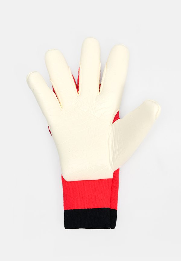 adidas Performance PREDATOR PRO
