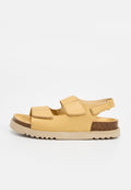 Scholl SIERRA
