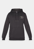 Puma CLASS GRAPHIC HOODIE