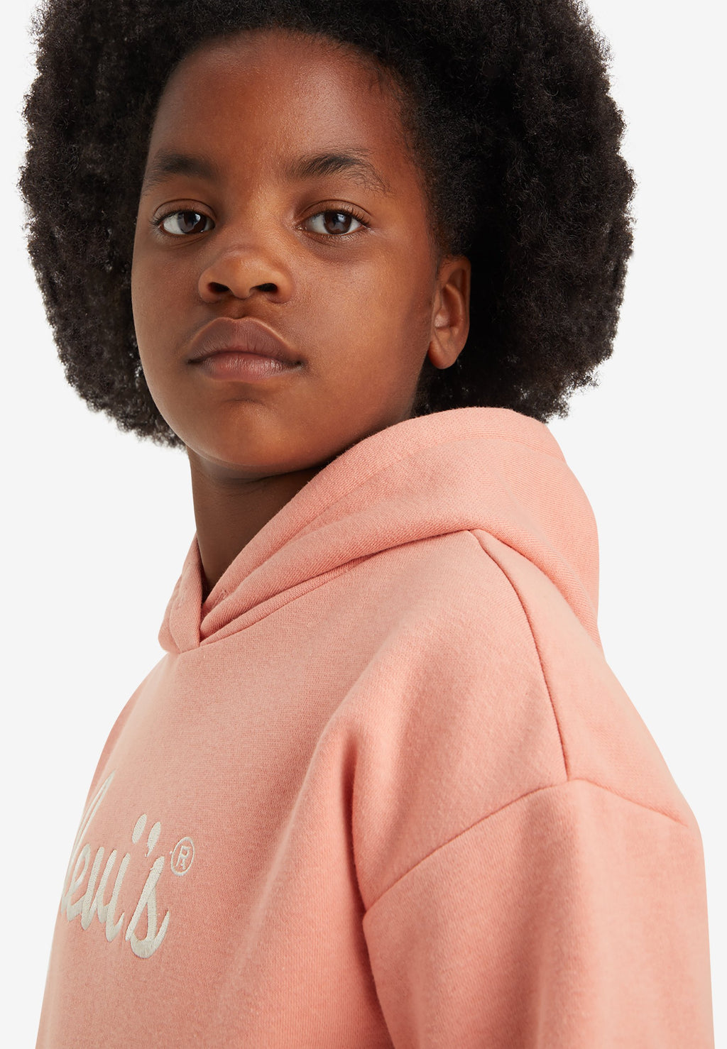 Levi's® POSTER LOGO HOODIE