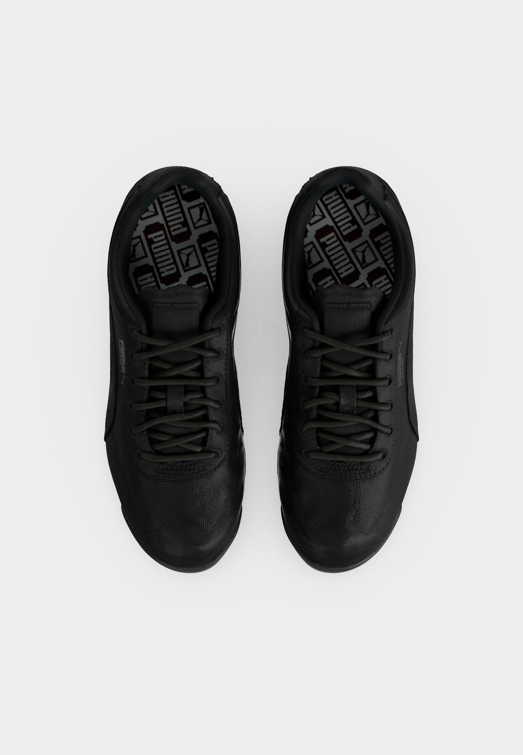 Puma ARIZONA