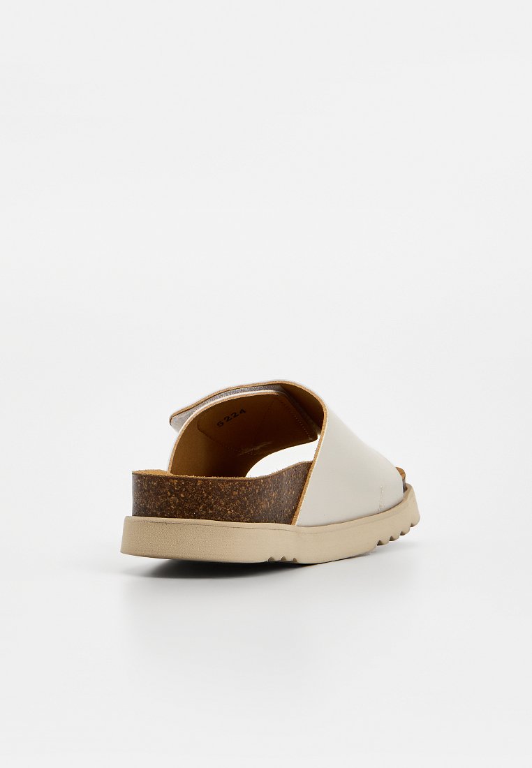 Scholl SIERRA