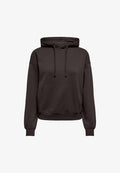 ONLY ONLBEST L/S HOOD SWT NOOS - Hoodie - chocolate torte