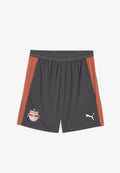 Puma FC RB SALZBURG TRAININGSSHORTS - Sports shorts - shadow gray white