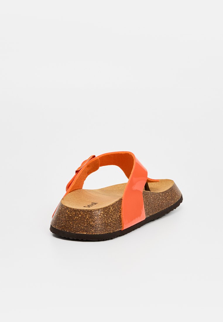 Scholl ANAIS