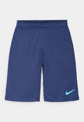 Nike Performance MEN'S SOCCER SHORTS - Sports shorts - midnight navy/vivid sky