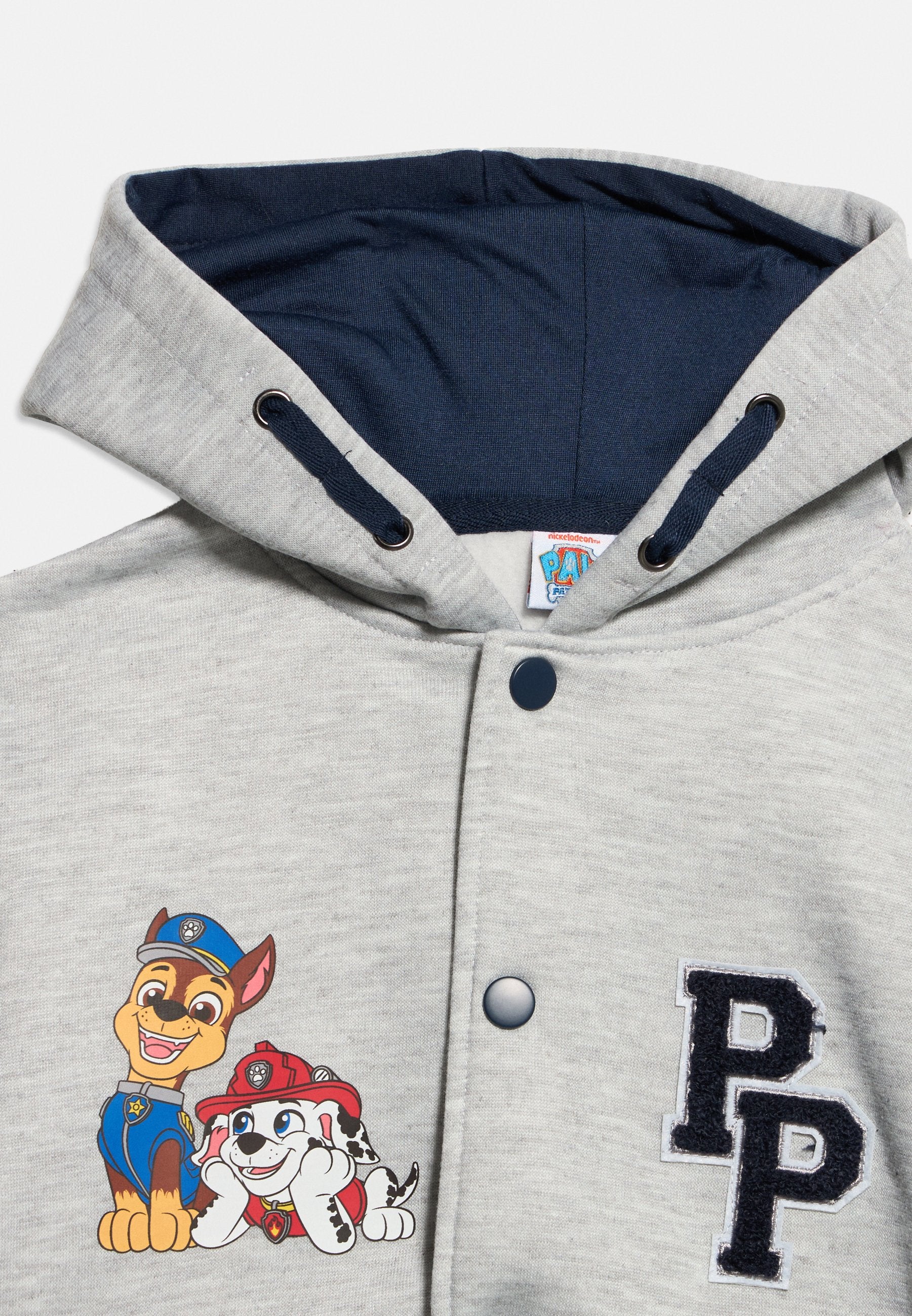 Disney PAW PATROL