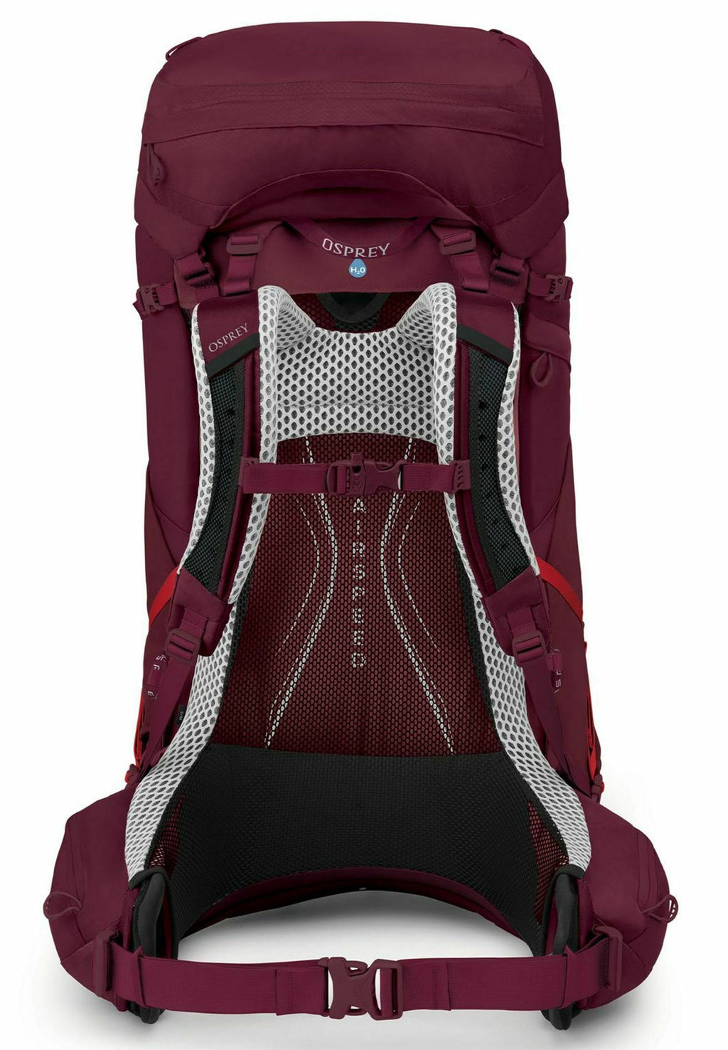 Osprey AURA AG LT 65