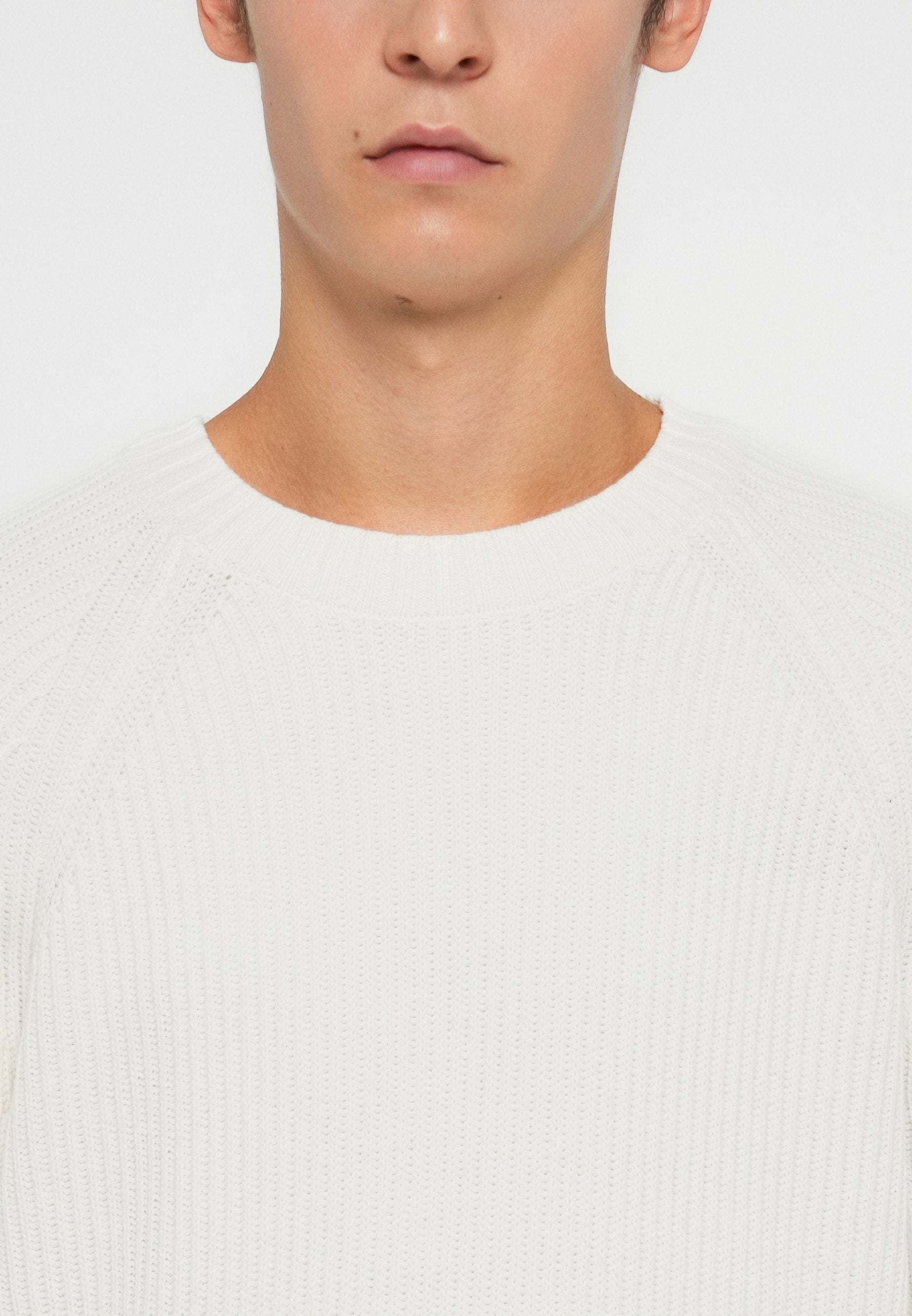 Hollister Co. BOXY CREW