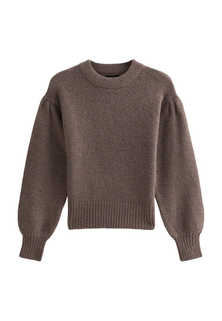 Brauner Strickpullover mit Rundhalsausschnitt, langen Ärmeln und geripptem Saum. Das Material wirkt weich und strukturiert und zeigt subtile Farbvariationen.
