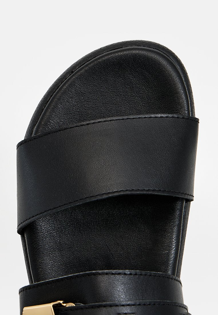 Scholl TAYLOR