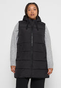 CARREGITZE Media 1
