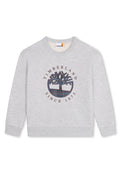 Grauer Sweatshirt aus Baumwolle mit einem runden Baumlogo in dunkelnavy und burgunderrot sowie dem Text "Timberland Since 1973". Mit gerippten Bündchen und Saum.