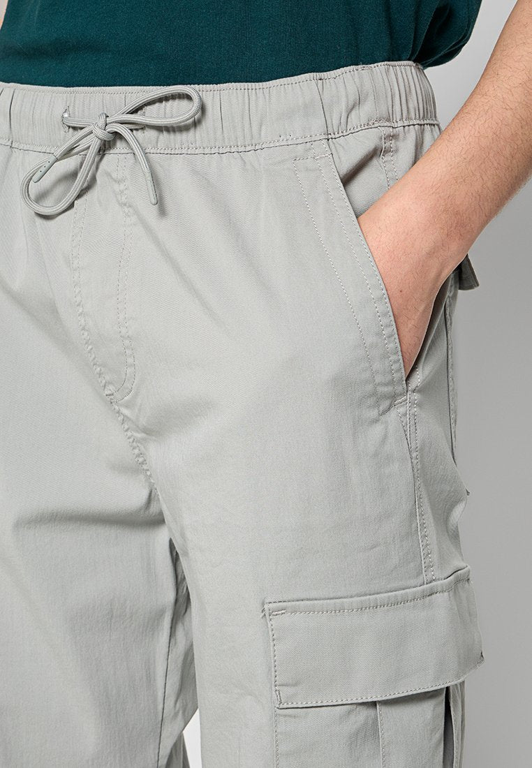 Hollister Co.