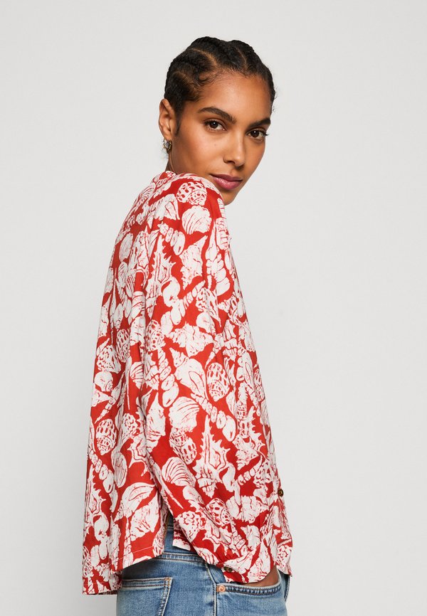 Scotch & Soda