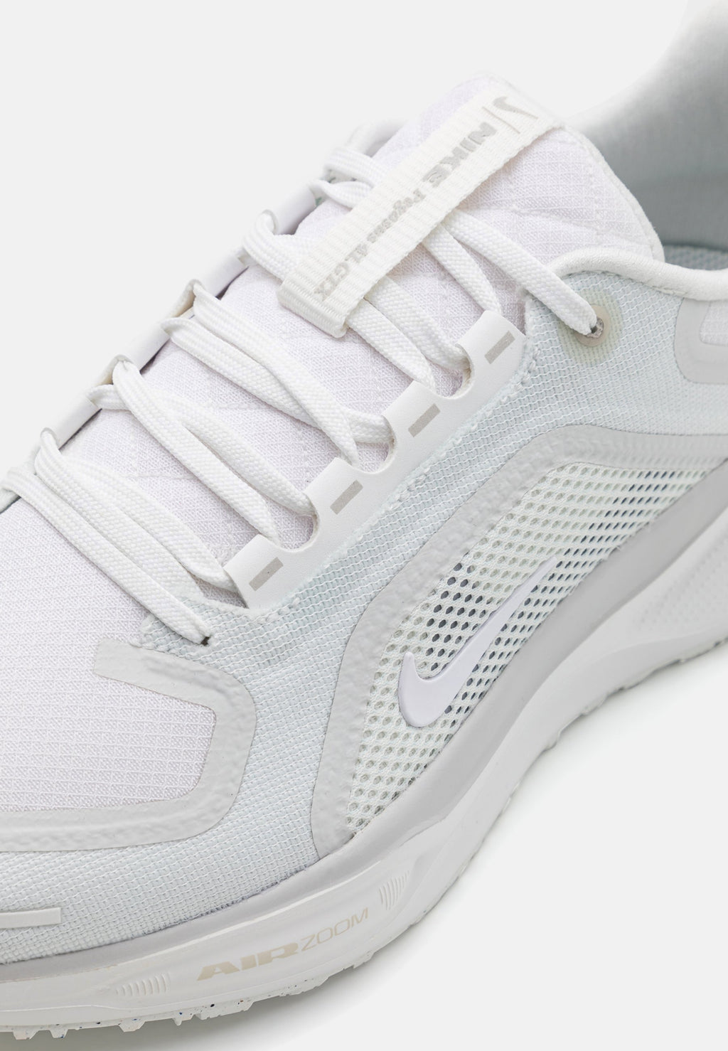 Nike Performance PEGASUS 41 GTX