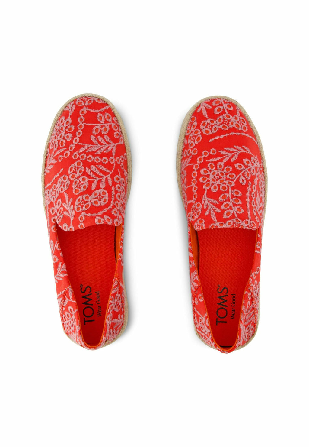 TOMS CAROLINA