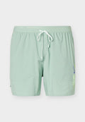 Nike Performance STRIDE SHORT - Sports shorts - steam/barely volt