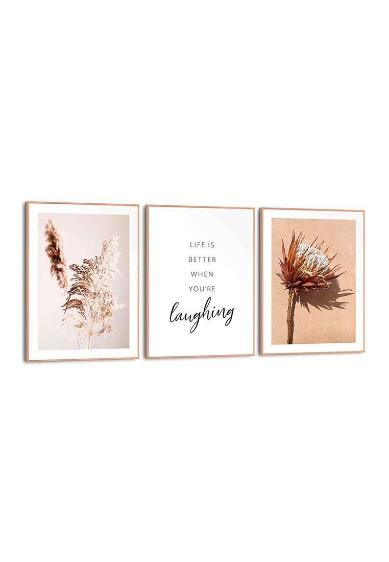 Orange Wallz DRIED FLOWER 3 PACK