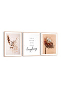 Orange Wallz DRIED FLOWER 3 PACK