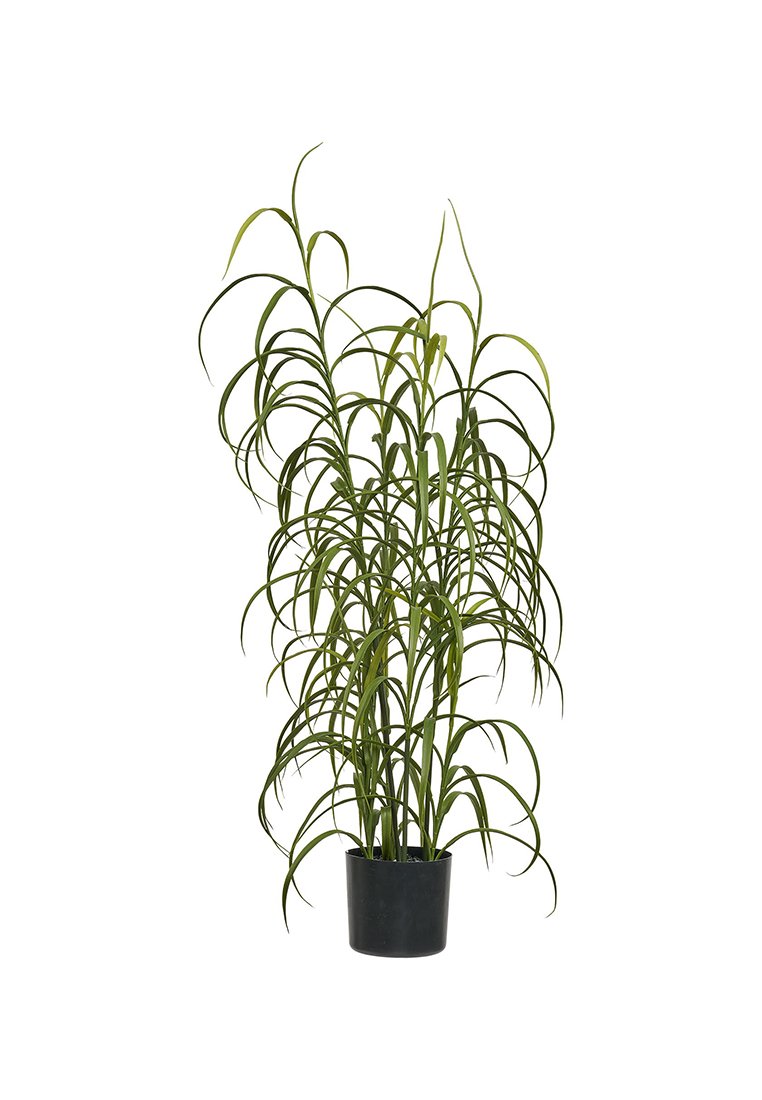 House Nordic GRASS