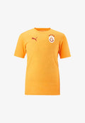 Puma PUMA GALATASARAY ISTANBUL TRAINING T-SHIRT REPLICAS - T-SHIRTS - NATIONAL - Football jersey - gelb