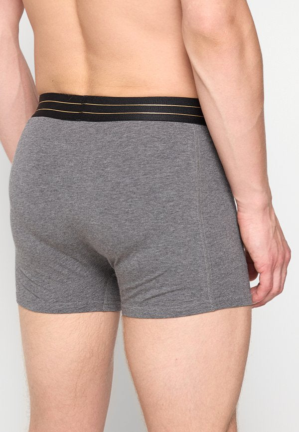 Cristiano Ronaldo CR7 BASIC, TRUNK, 7-PACK