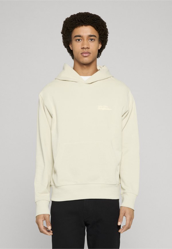 Jack & Jones PAROS TYPE  - Hoodie - celadon tint