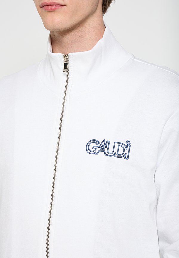 Gaudi
