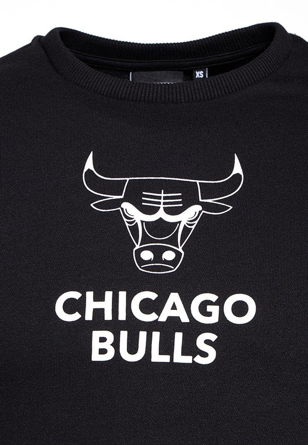 New Era CHIBULLS