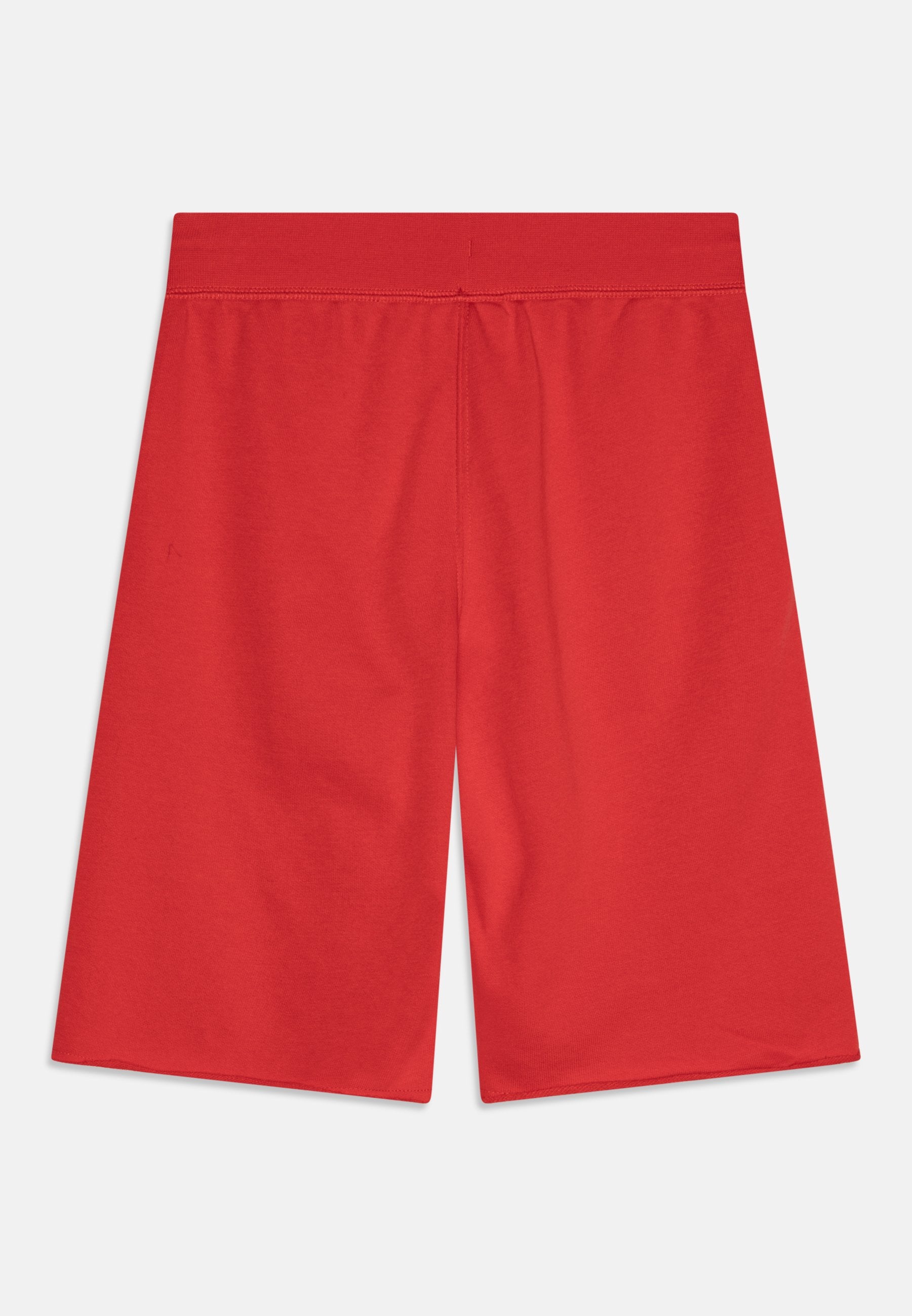Champion BASKETBALL INSPIRED