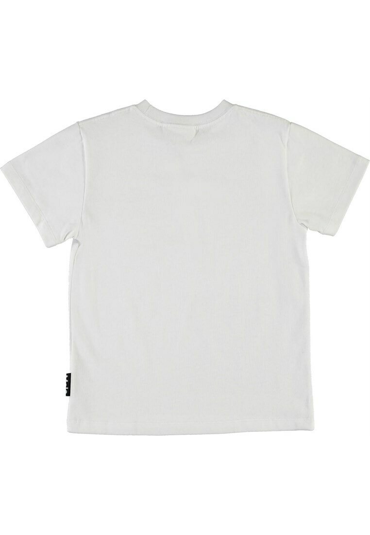 Molo
