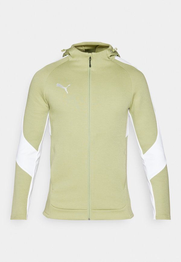Puma HOODED JACKET - Zip-up sweatshirt - calming green/silver/white