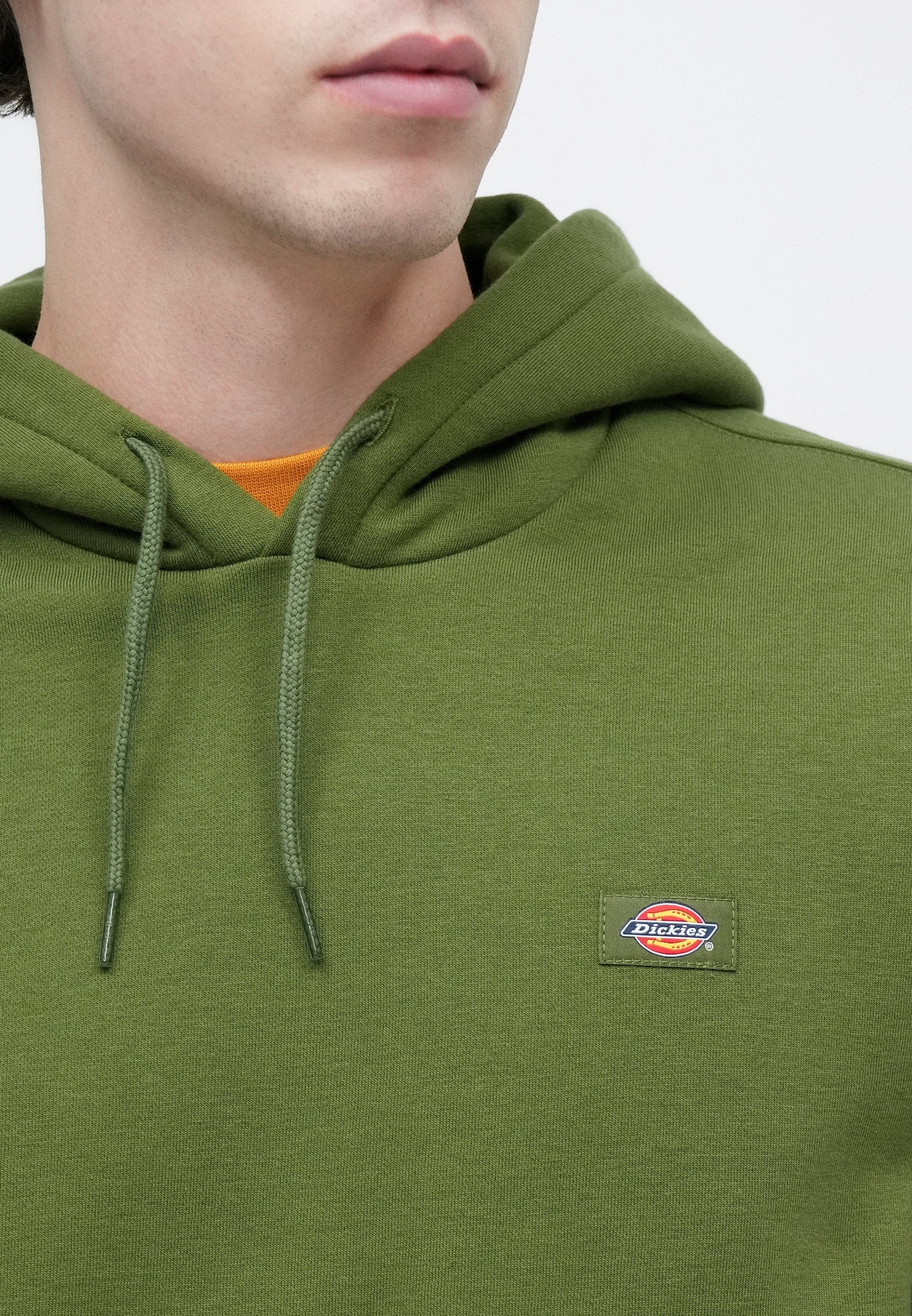 Dickies OAKPORT HOODIE