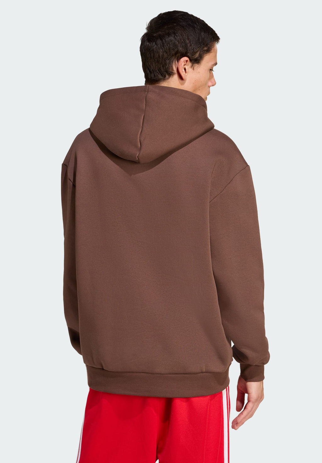 adidas Originals GRAPHIC HOODIE