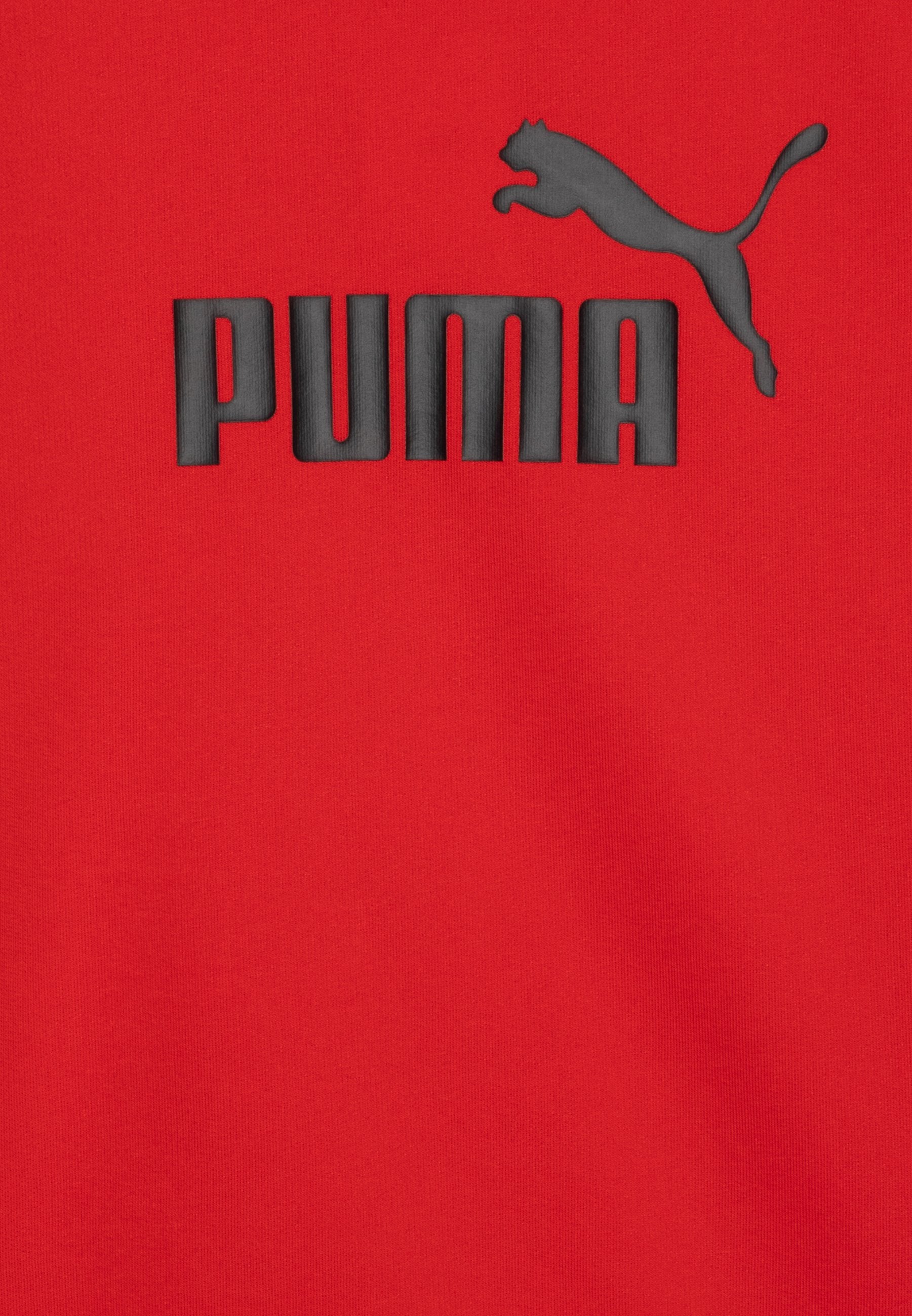 Puma SET