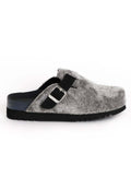 Scholl POPPY