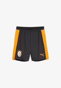 Puma GALATASARAY S.K. SLIM TRAININGSSHORTS - Club wear - grau