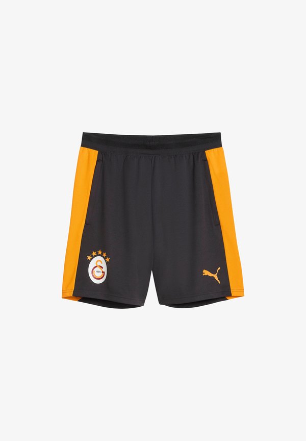 Puma GALATASARAY S.K. SLIM TRAININGSSHORTS - Club wear - grau