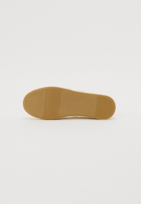 TOMS CAROLINA
