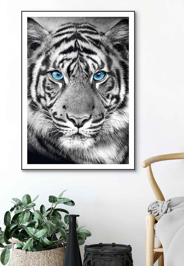 Orange Wallz TIGER