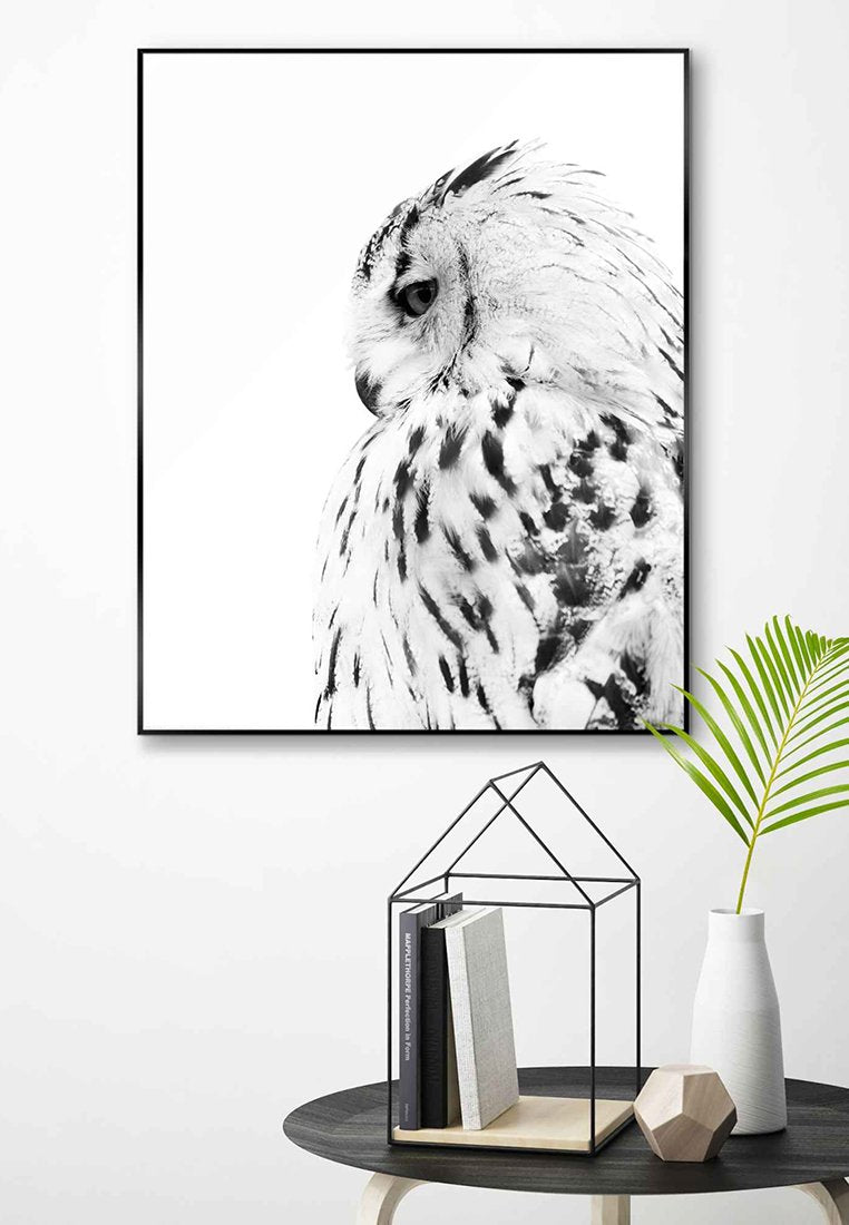 Orange Wallz SNOW OWL