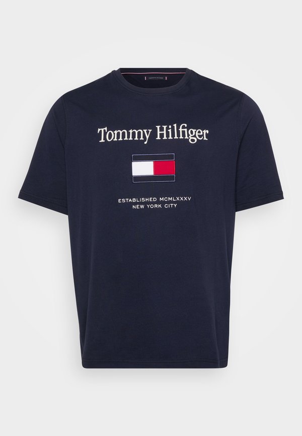 Tommy Hilfiger EMBRO FLAG TEE - Print T-shirt - desert sky