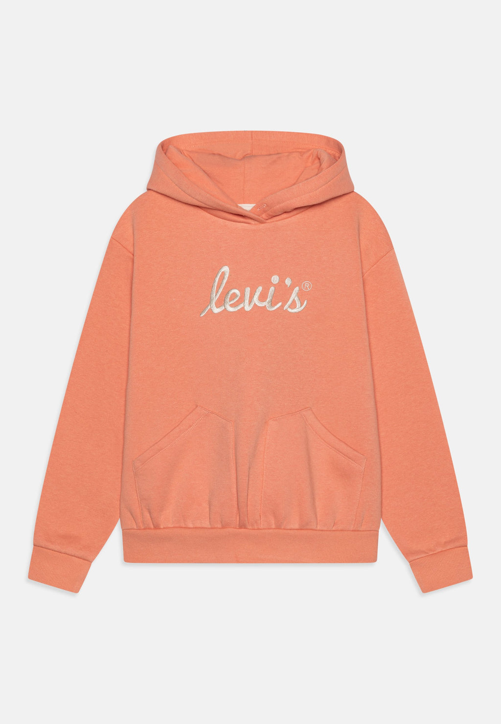 Levi's® POSTER LOGO HOODIE