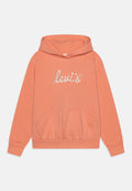 Levi's® POSTER LOGO HOODIE