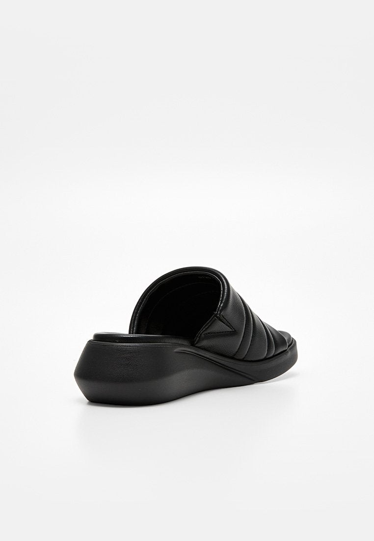 Scholl CUBA